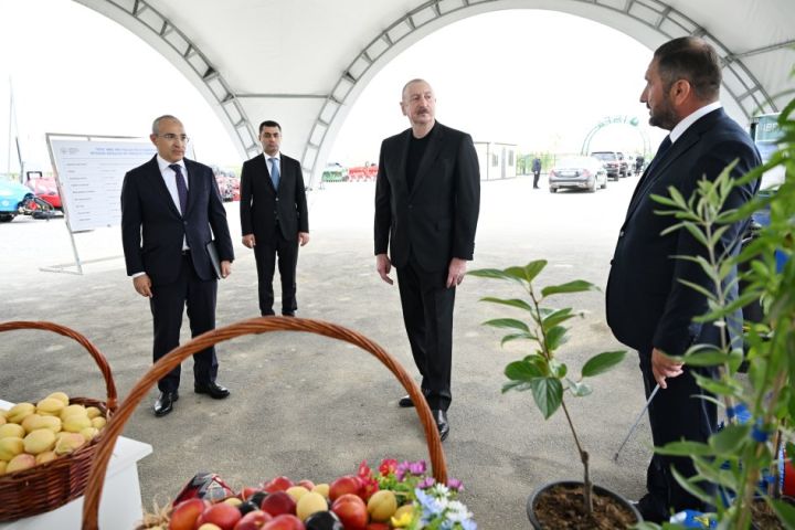 Kiçik və orta fermerlərin cəlb olunması ilə yaradılan dövlət aqroparkı açıldı
